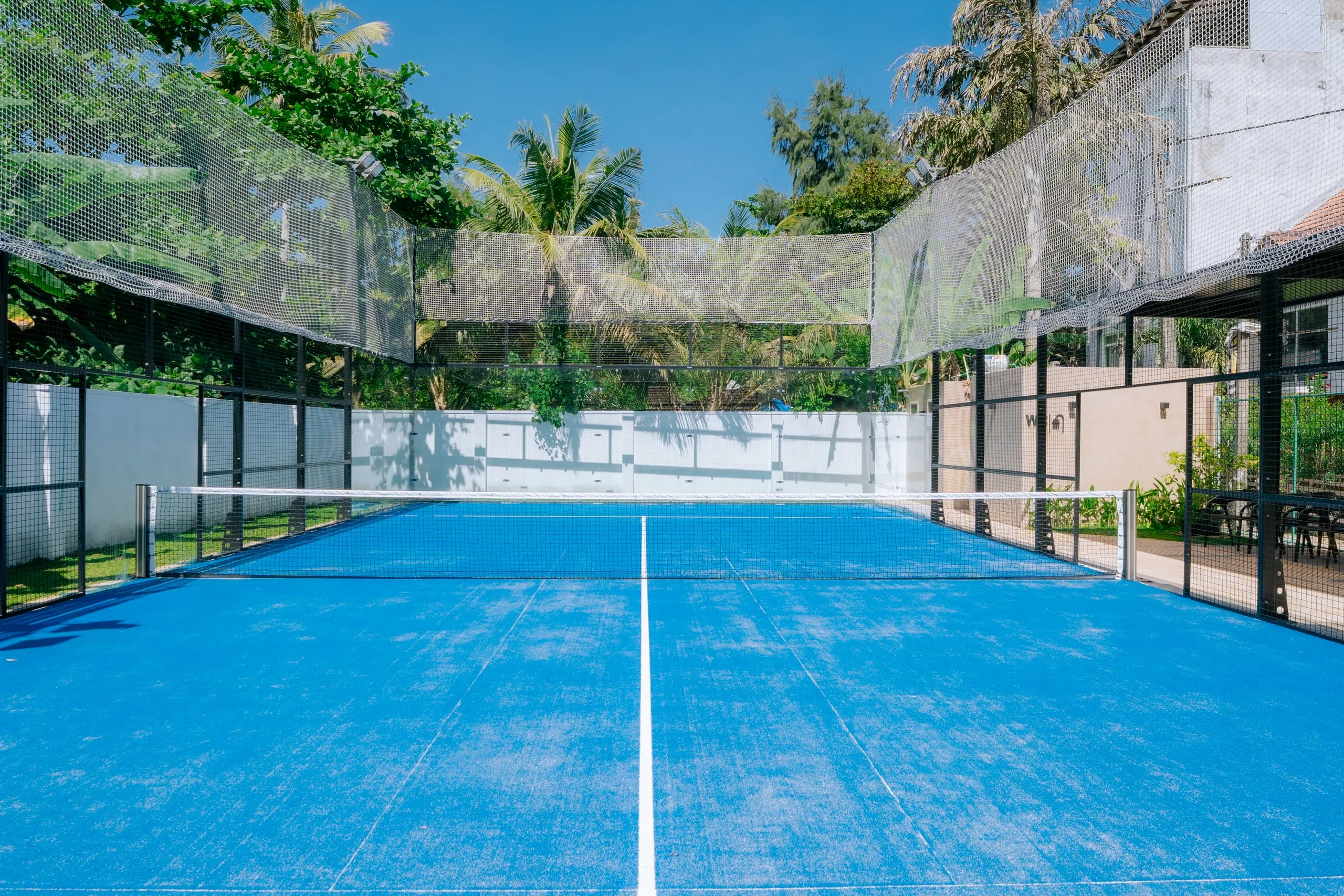The panoramic padel court: blue surface between glass walls and nets, a white wall and coconut palms behind